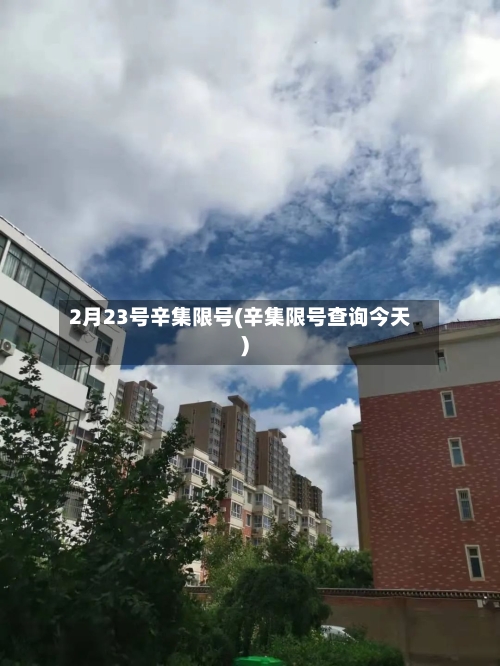 2月23号辛集限号(辛集限号查询今天)