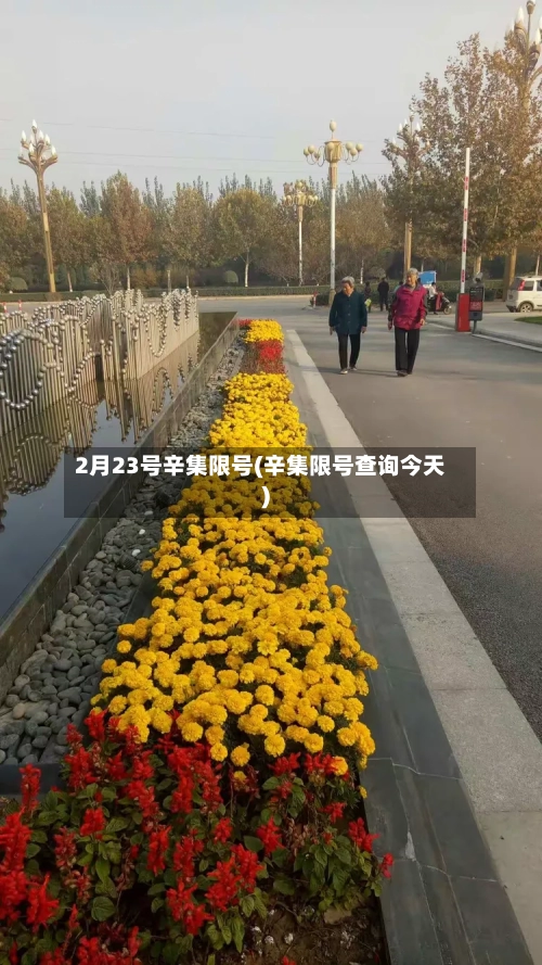 2月23号辛集限号(辛集限号查询今天)-第2张图片