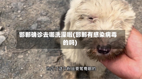 邯郸确诊去哪洗澡啦(邯郸有感染病毒的吗)