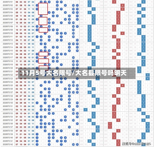 11月5号大名限号/大名县限号吗明天