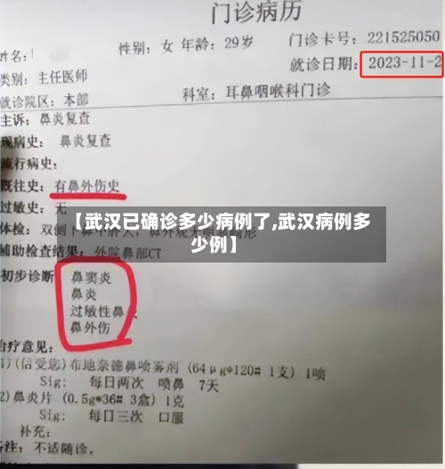 【武汉已确诊多少病例了,武汉病例多少例】-第2张图片