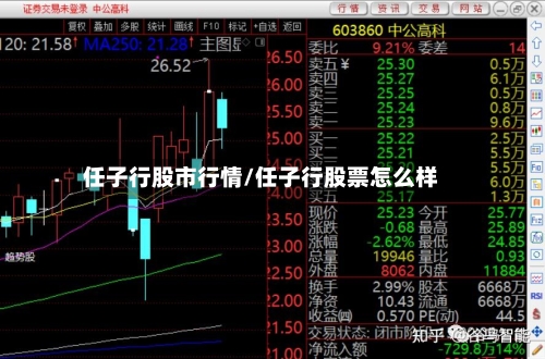 任子行股市行情/任子行股票怎么样