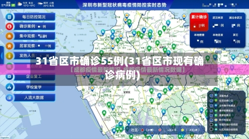 31省区市确诊55例(31省区市现有确诊病例)-第2张图片