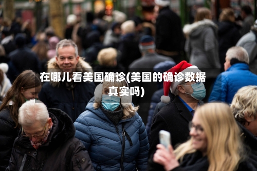 在哪儿看美国确诊(美国的确诊数据真实吗)-第2张图片