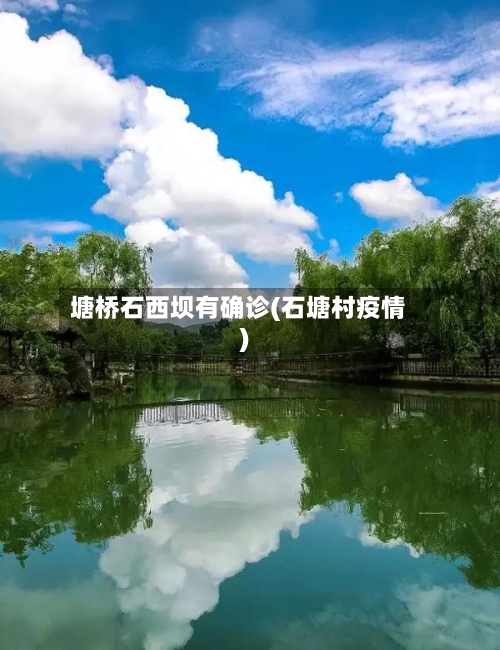 塘桥石西坝有确诊(石塘村疫情)-第2张图片