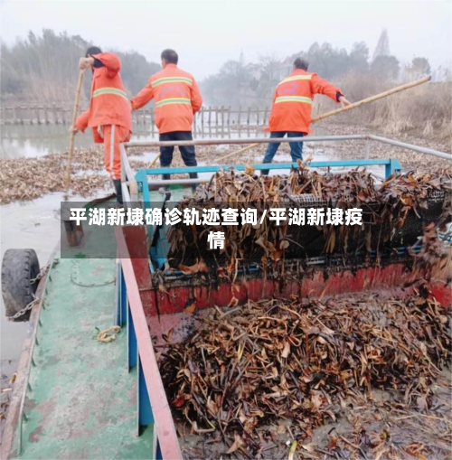 平湖新埭确诊轨迹查询/平湖新埭疫情-第3张图片