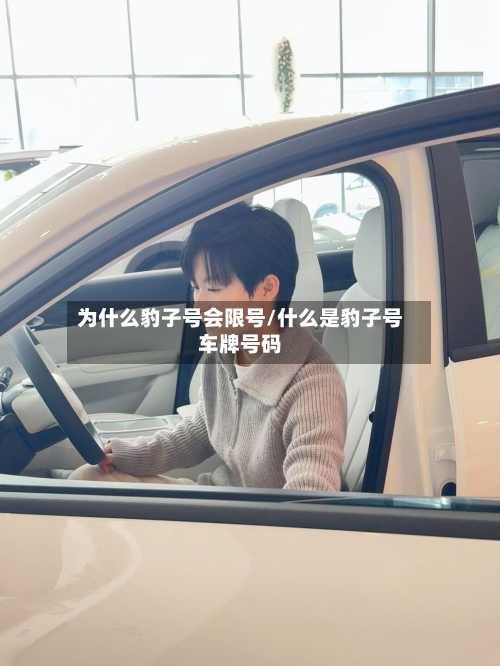 为什么豹子号会限号/什么是豹子号车牌号码-第2张图片
