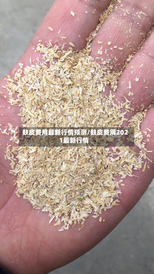 麸皮费用最新行情预测/麸皮费用2021最新行情-第3张图片
