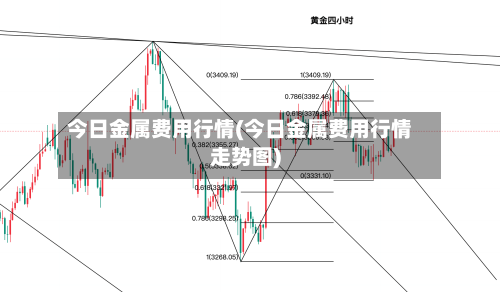 今日金属费用行情(今日金属费用行情走势图)