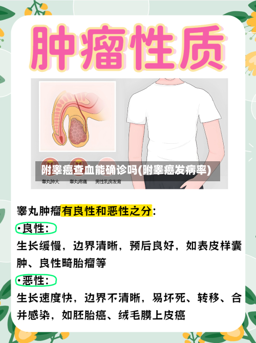 附睾癌查血能确诊吗(附睾癌发病率)