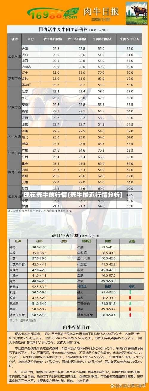 现在养牛的行情(养牛最近行情分析)-第3张图片