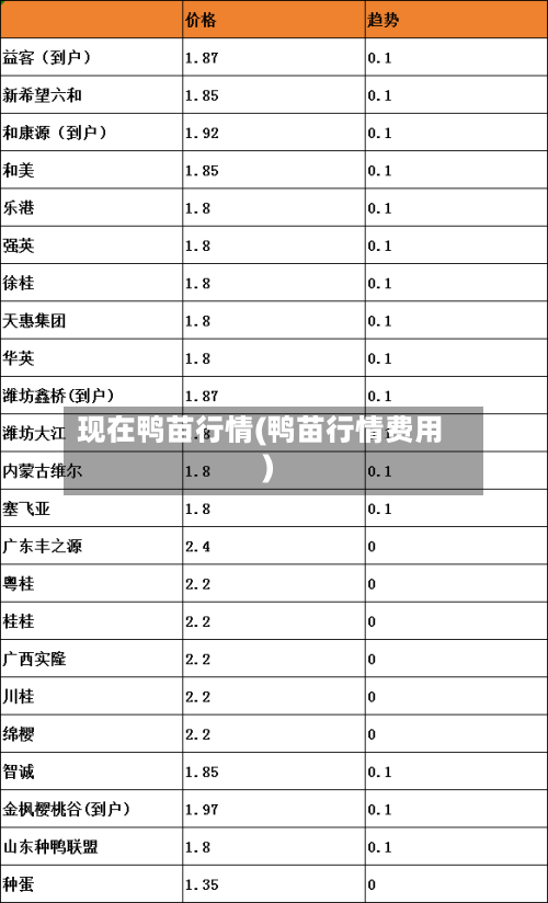 现在鸭苗行情(鸭苗行情费用)-第2张图片