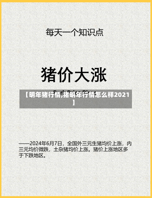 【明年猪行情,猪明年行情怎么样2021】-第3张图片