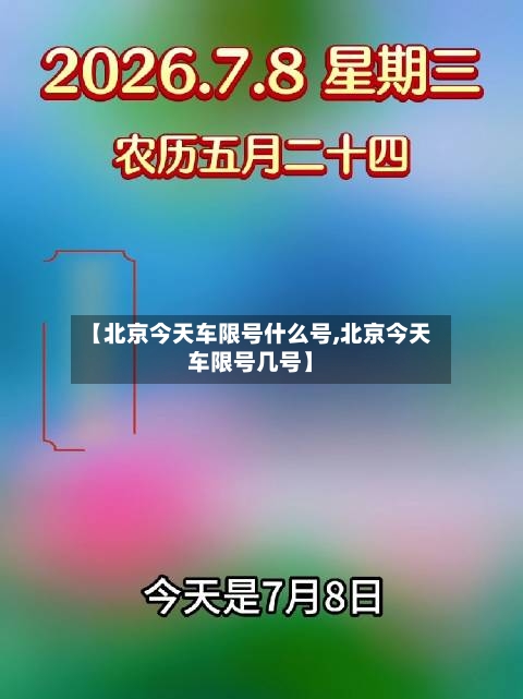 【北京今天车限号什么号,北京今天车限号几号】-第3张图片