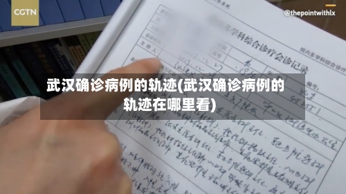 武汉确诊病例的轨迹(武汉确诊病例的轨迹在哪里看)