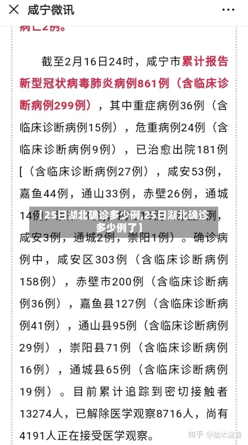 【25日湖北确诊多少例,25日湖北确诊多少例了】-第3张图片