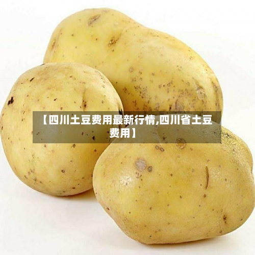 【四川土豆费用最新行情,四川省土豆费用】-第2张图片