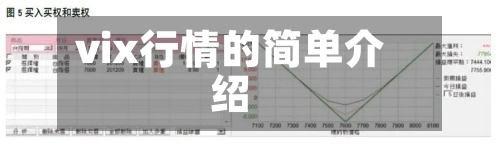 vix行情的简单介绍