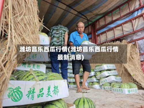 潍坊昌乐西瓜行情(潍坊昌乐西瓜行情最新消息)-第3张图片