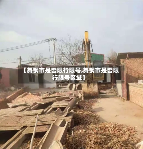 【舞钢市是否限行限号,舞钢市是否限行限号区域】-第2张图片