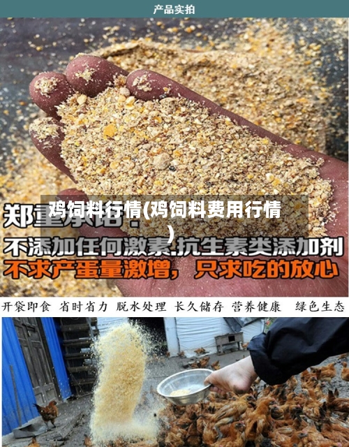 鸡饲料行情(鸡饲料费用行情)