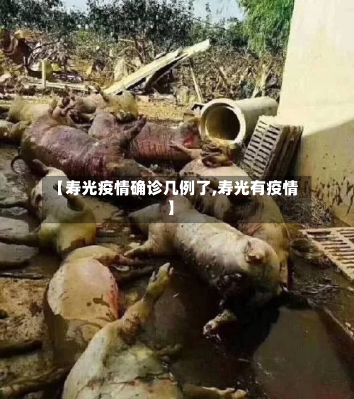 【寿光疫情确诊几例了,寿光有疫情】-第3张图片