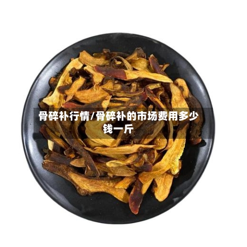 骨碎补行情/骨碎补的市场费用多少钱一斤
