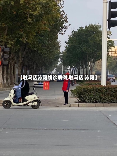 【驻马店沁阳确诊病例,驻马店 沁阳】