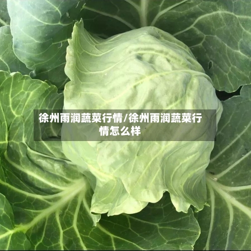 徐州雨润蔬菜行情/徐州雨润蔬菜行情怎么样