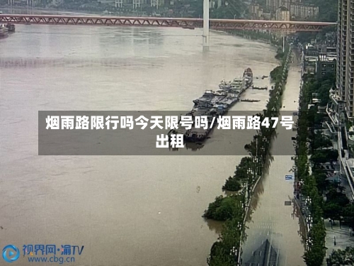 烟雨路限行吗今天限号吗/烟雨路47号出租-第2张图片