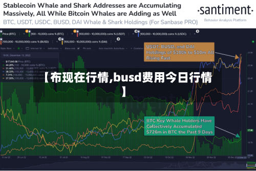 【布现在行情,busd费用今日行情】-第3张图片