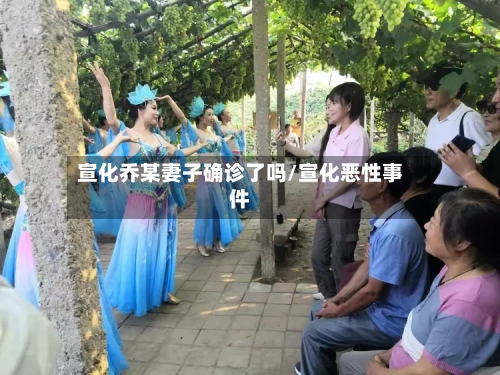 宣化乔某妻子确诊了吗/宣化恶性事件