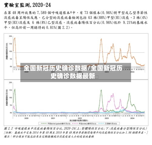 全国新冠历史确诊数据/全国新冠历史确诊数据最新-第2张图片