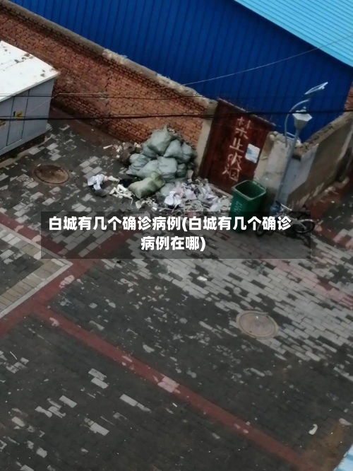 白城有几个确诊病例(白城有几个确诊病例在哪)