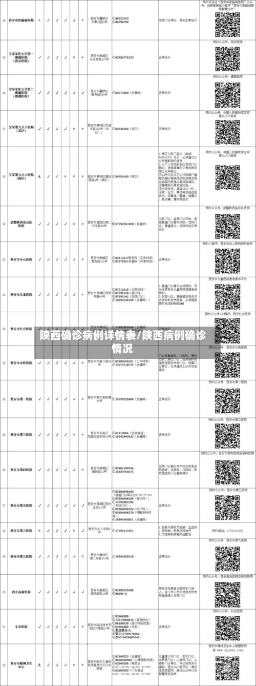 陕西确诊病例详情表/陕西病例确诊情况-第3张图片