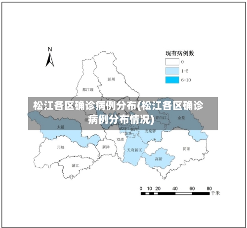 松江各区确诊病例分布(松江各区确诊病例分布情况)