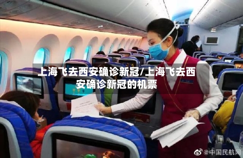 上海飞去西安确诊新冠/上海飞去西安确诊新冠的机票-第2张图片