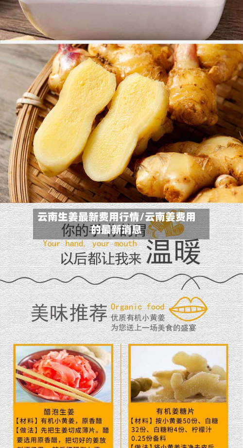 云南生姜最新费用行情/云南姜费用的最新消息