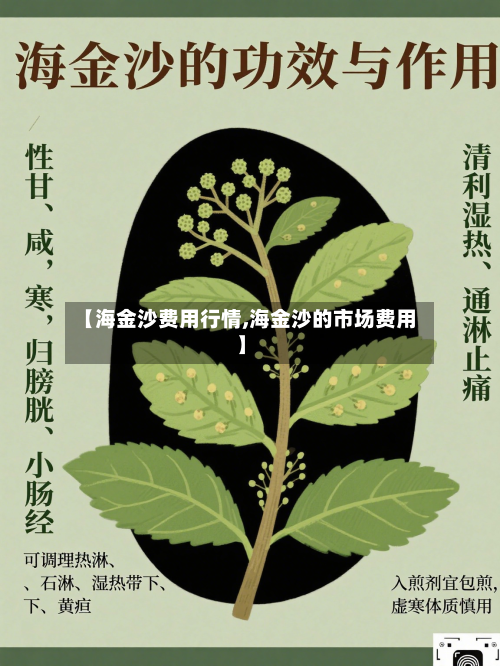 【海金沙费用行情,海金沙的市场费用】-第2张图片