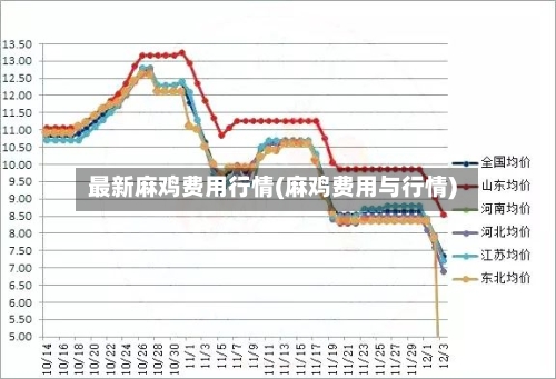 最新麻鸡费用行情(麻鸡费用与行情)-第2张图片