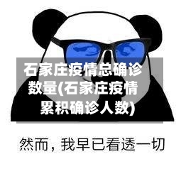 石家庄疫情总确诊数量(石家庄疫情累积确诊人数)-第2张图片