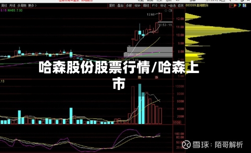 哈森股份股票行情/哈森上市-第3张图片