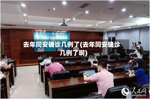 去年同安确诊几例了(去年同安确诊几例了啊)-第2张图片