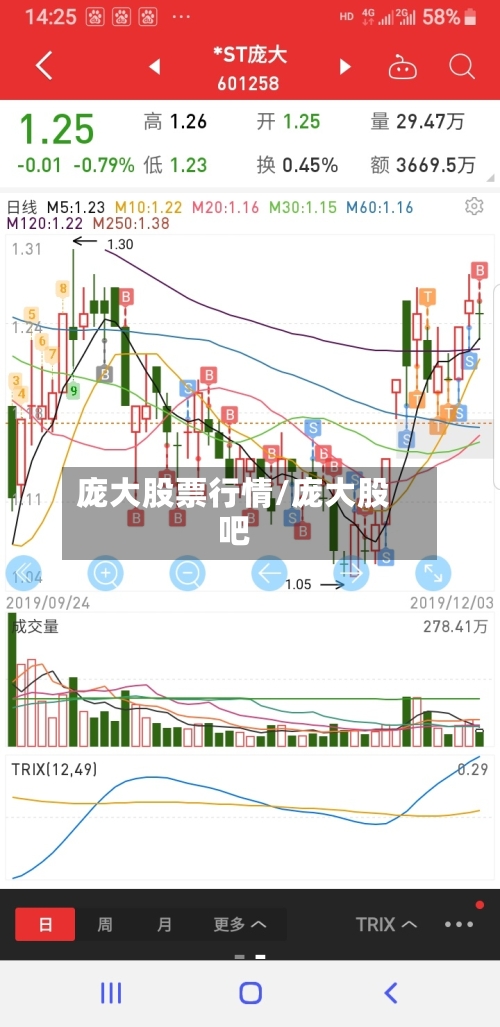 庞大股票行情/庞大股吧-第3张图片