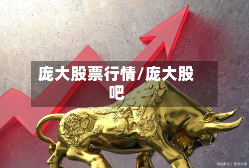 庞大股票行情/庞大股吧-第2张图片