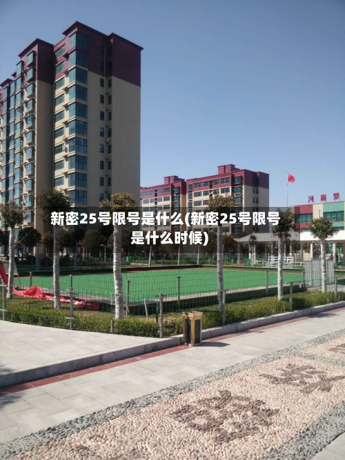 新密25号限号是什么(新密25号限号是什么时候)