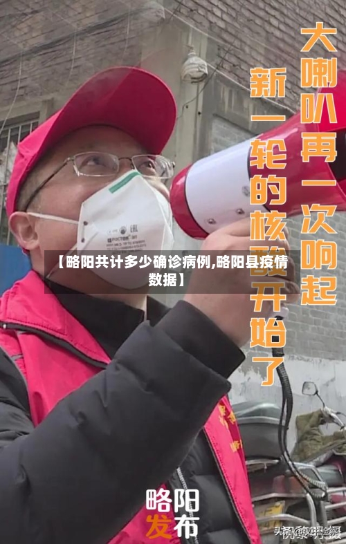 【略阳共计多少确诊病例,略阳县疫情数据】