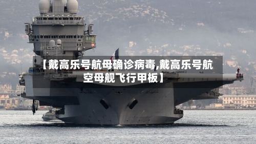 【戴高乐号航母确诊病毒,戴高乐号航空母舰飞行甲板】