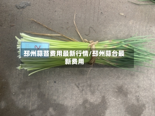 邳州蒜苔费用最新行情/邳州蒜台最新费用