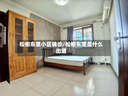 松榆东里小区确诊/松榆东里是什么街道